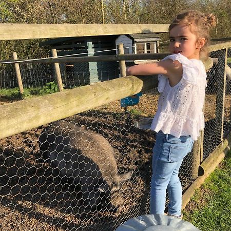 Willow Court Farm Studio East & Petting Farm, 8 Mins To Legoland & Windsor, 15 Mins To Lapland Uk ภายนอก รูปภาพ