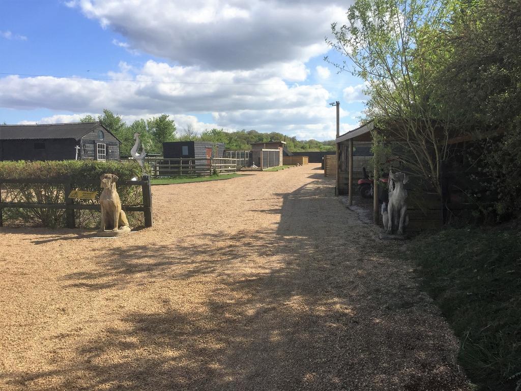 Willow Court Farm Studio East & Petting Farm, 8 Mins To Legoland & Windsor, 15 Mins To Lapland Uk ภายนอก รูปภาพ