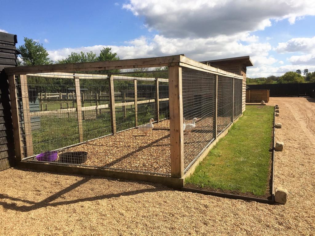 Willow Court Farm Studio East & Petting Farm, 8 Mins To Legoland & Windsor, 15 Mins To Lapland Uk ภายนอก รูปภาพ