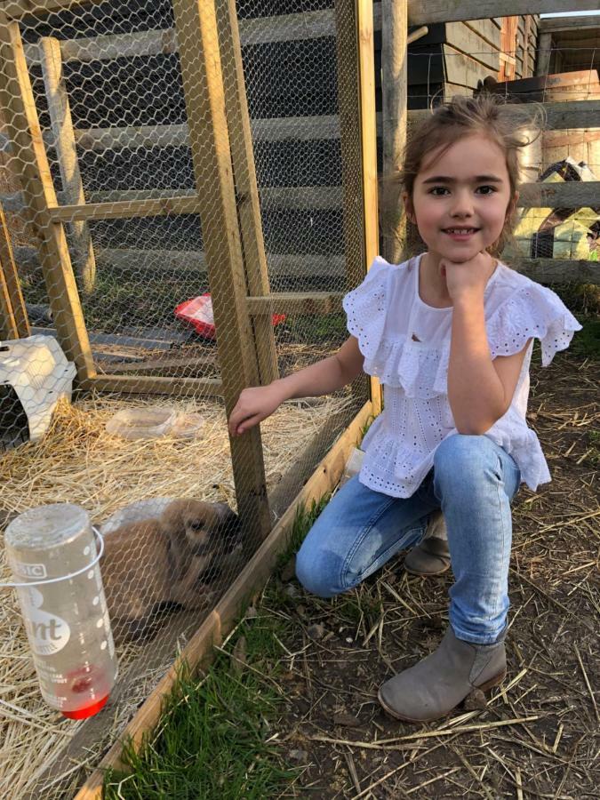 Willow Court Farm Studio East & Petting Farm, 8 Mins To Legoland & Windsor, 15 Mins To Lapland Uk ภายนอก รูปภาพ