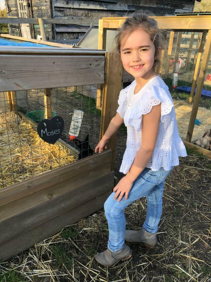 Willow Court Farm Studio East & Petting Farm, 8 Mins To Legoland & Windsor, 15 Mins To Lapland Uk ภายนอก รูปภาพ