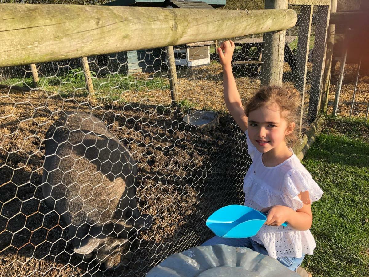 Willow Court Farm Studio East & Petting Farm, 8 Mins To Legoland & Windsor, 15 Mins To Lapland Uk ภายนอก รูปภาพ